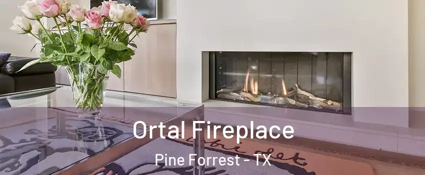 Ortal Fireplace Pine Forrest - TX