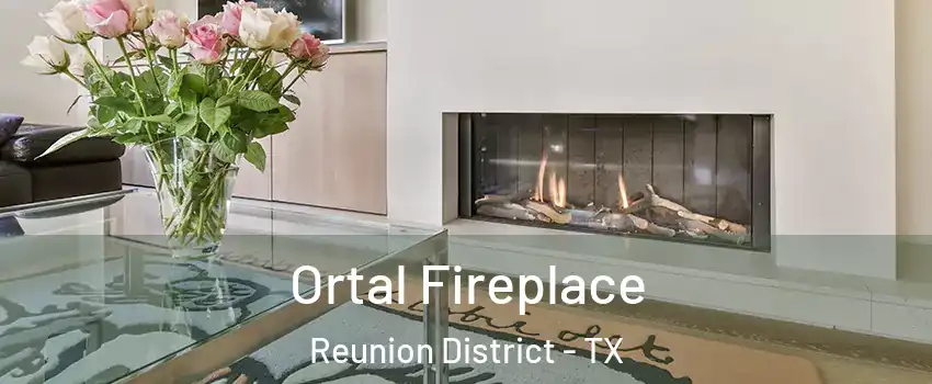 Ortal Fireplace Reunion District - TX