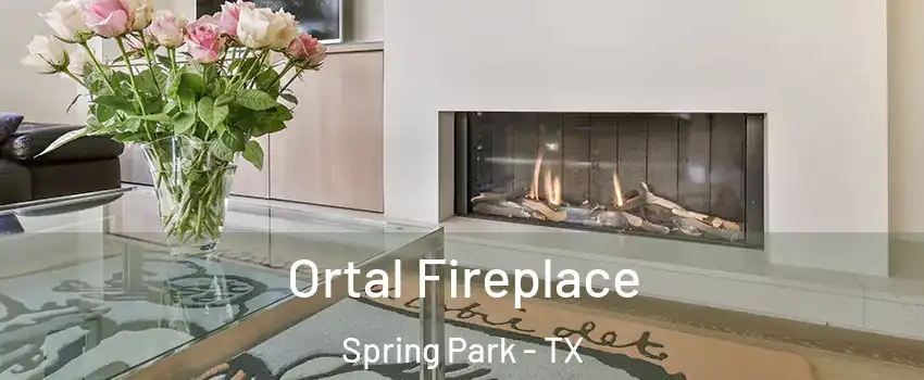 Ortal Fireplace Spring Park - TX
