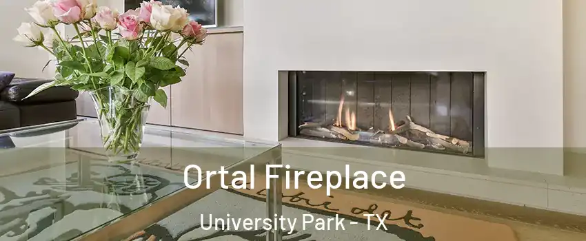 Ortal Fireplace University Park - TX