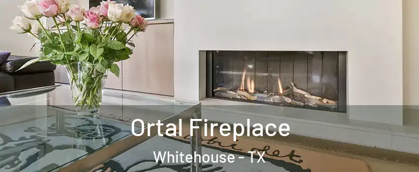Ortal Fireplace Whitehouse - TX