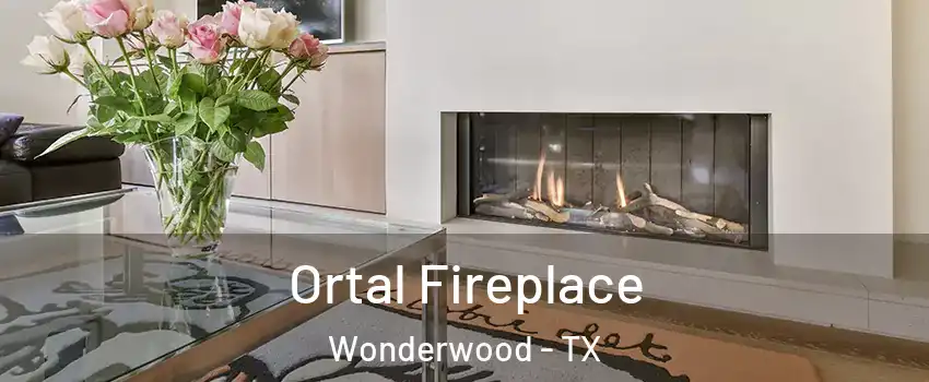 Ortal Fireplace Wonderwood - TX