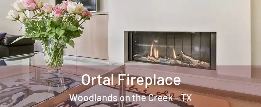 Ortal Fireplace Woodlands on the Creek - TX