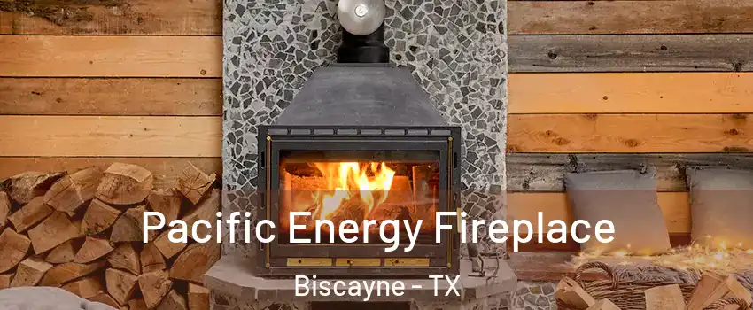 Pacific Energy Fireplace Biscayne - TX
