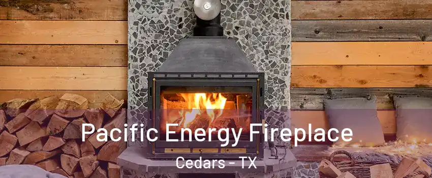 Pacific Energy Fireplace Cedars - TX