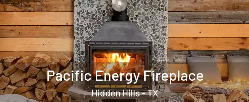 Pacific Energy Fireplace Hidden Hills - TX