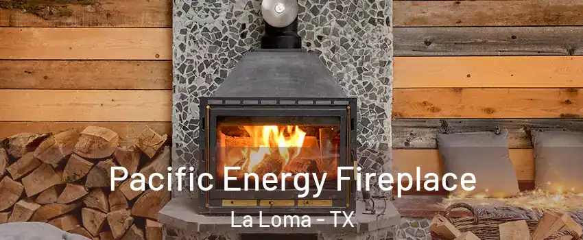 Pacific Energy Fireplace La Loma - TX