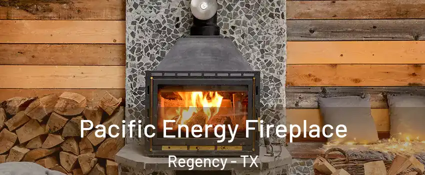 Pacific Energy Fireplace Regency - TX