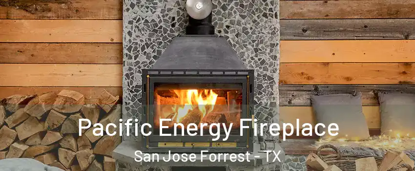 Pacific Energy Fireplace San Jose Forrest - TX