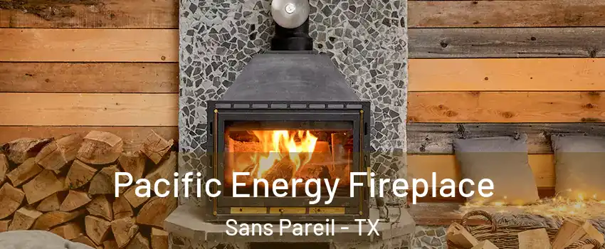 Pacific Energy Fireplace Sans Pareil - TX
