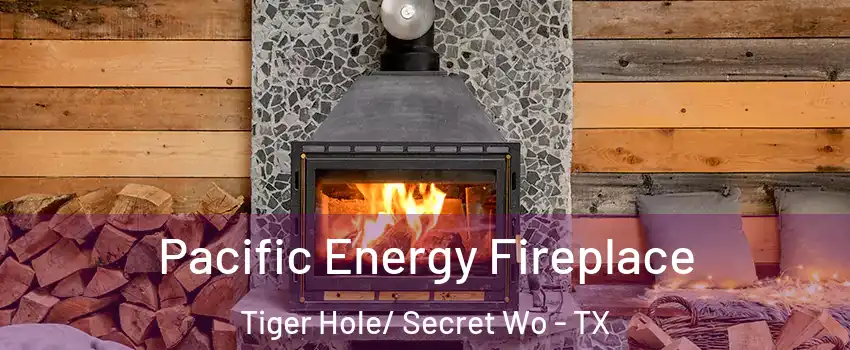 Pacific Energy Fireplace Tiger Hole/ Secret Wo - TX