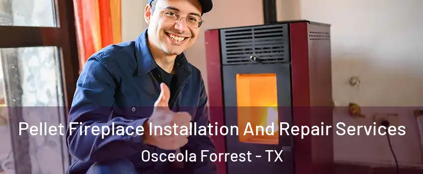 Pellet Fireplace Installation And Repair Services Osceola Forrest - TX