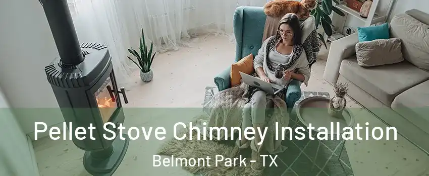 Pellet Stove Chimney Installation Belmont Park - TX
