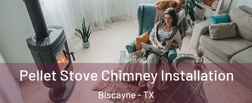 Pellet Stove Chimney Installation Biscayne - TX