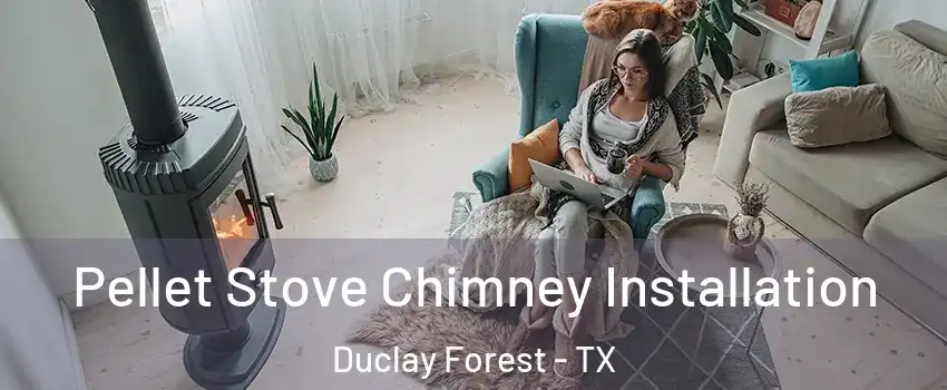 Pellet Stove Chimney Installation Duclay Forest - TX