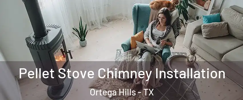 Pellet Stove Chimney Installation Ortega Hills - TX