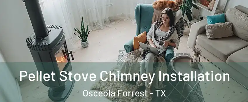 Pellet Stove Chimney Installation Osceola Forrest - TX