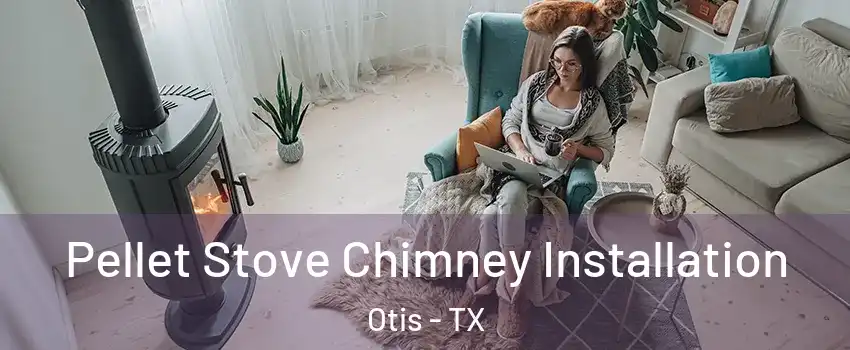 Pellet Stove Chimney Installation Otis - TX