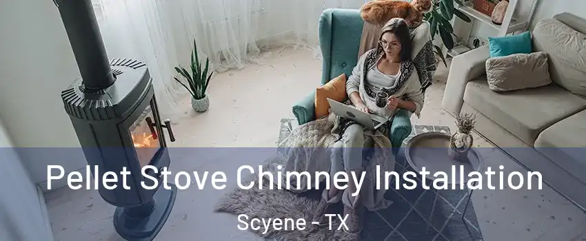 Pellet Stove Chimney Installation Scyene - TX