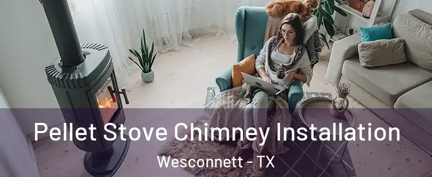 Pellet Stove Chimney Installation Wesconnett - TX