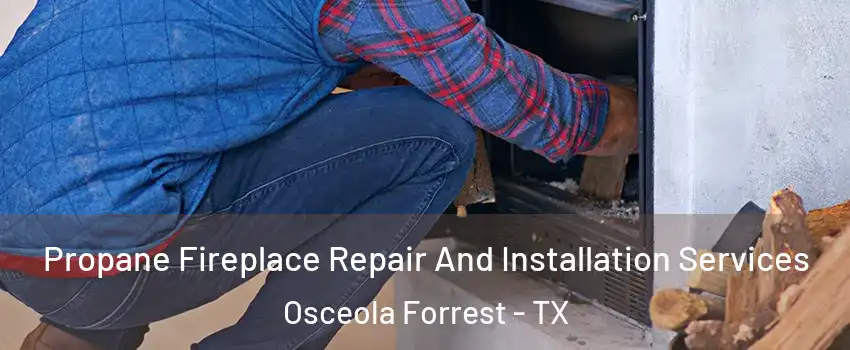 Propane Fireplace Repair And Installation Services Osceola Forrest - TX