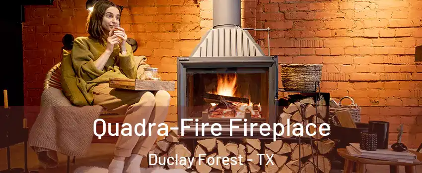 Quadra-Fire Fireplace Duclay Forest - TX