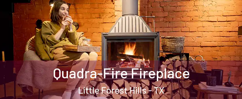 Quadra-Fire Fireplace Little Forest Hills - TX