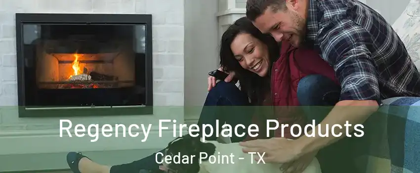 Regency Fireplace Products Cedar Point - TX