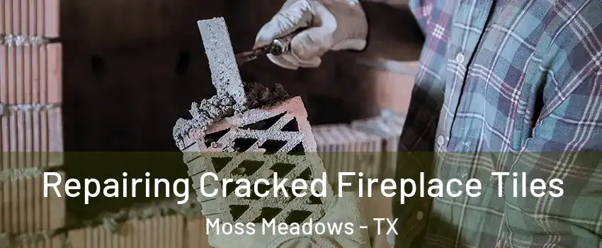 Repairing Cracked Fireplace Tiles Moss Meadows - TX