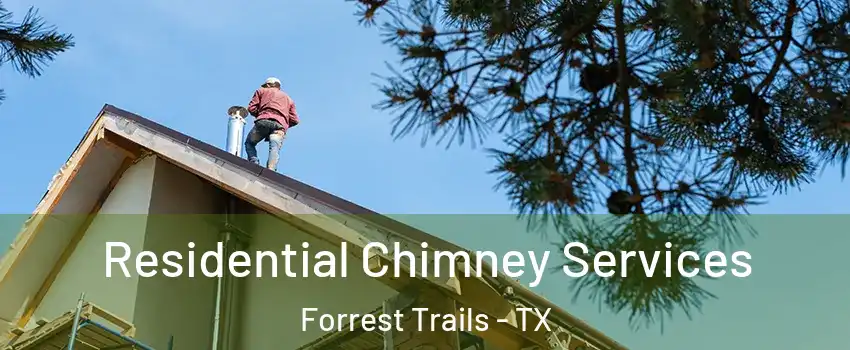 Residential Chimney Services Forrest Trails - TX