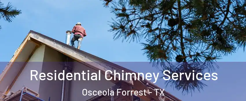 Residential Chimney Services Osceola Forrest - TX