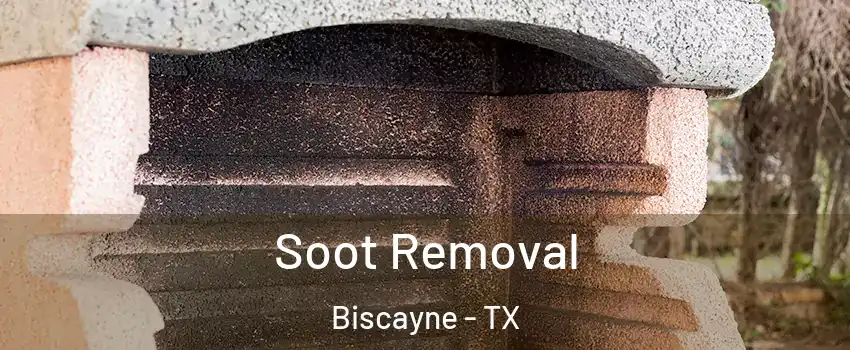 Soot Removal Biscayne - TX