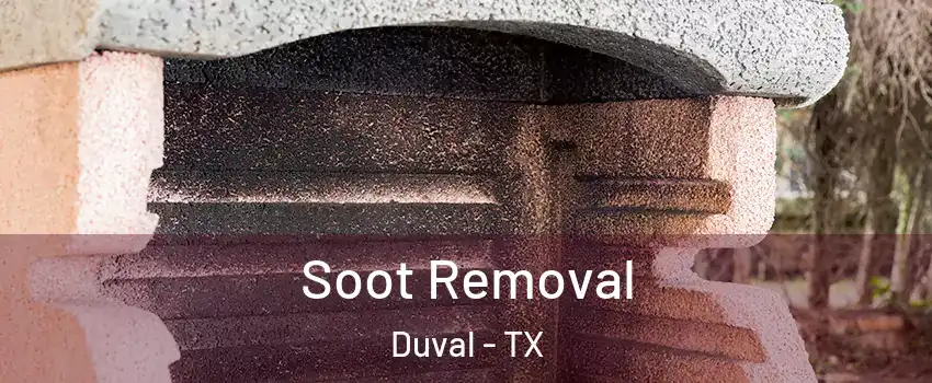 Soot Removal Duval - TX