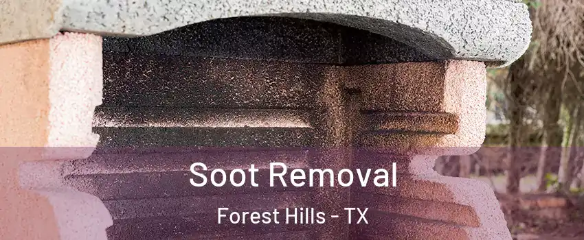 Soot Removal Forest Hills - TX