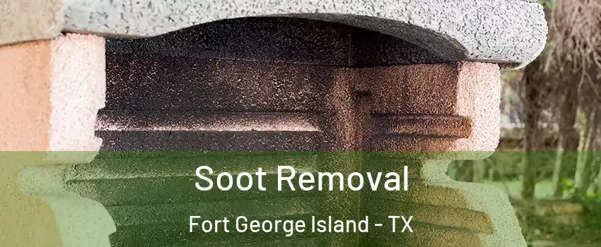 Soot Removal Fort George Island - TX