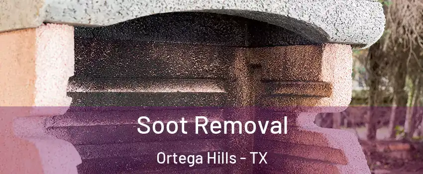 Soot Removal Ortega Hills - TX