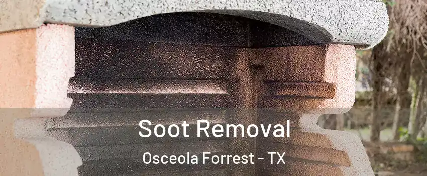 Soot Removal Osceola Forrest - TX