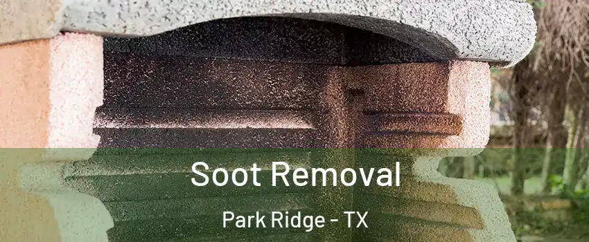 Soot Removal Park Ridge - TX