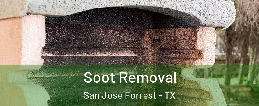 Soot Removal San Jose Forrest - TX