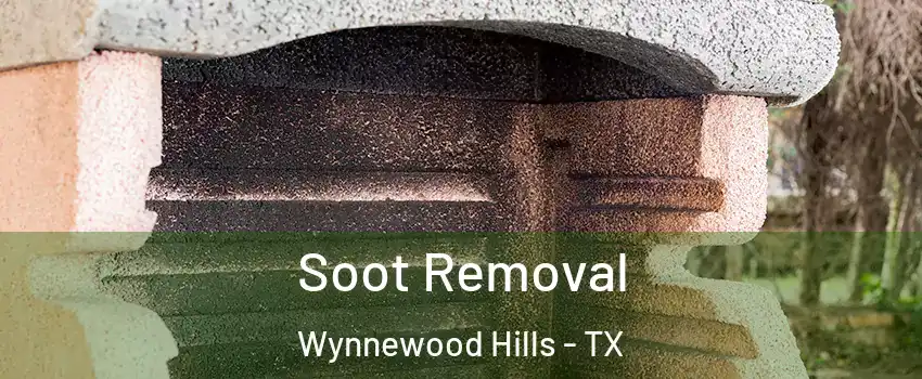 Soot Removal Wynnewood Hills - TX
