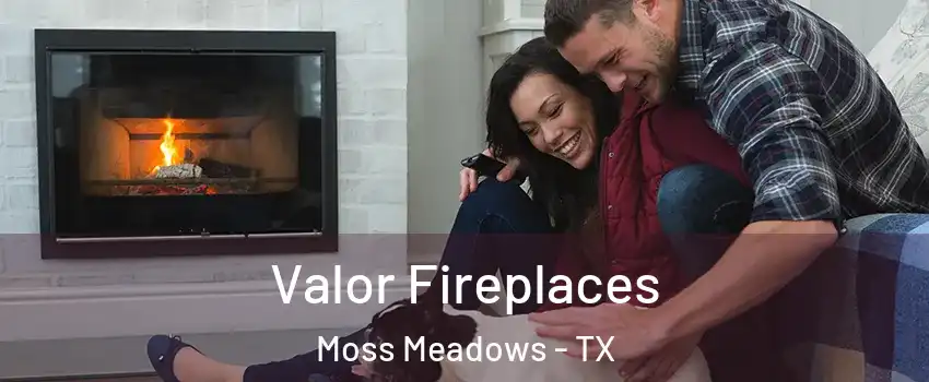 Valor Fireplaces Moss Meadows - TX