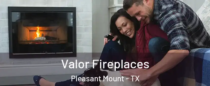 Valor Fireplaces Pleasant Mount - TX