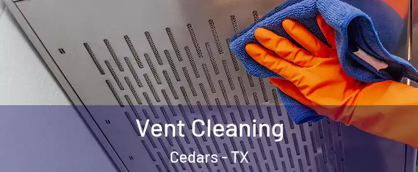 Vent Cleaning Cedars - TX
