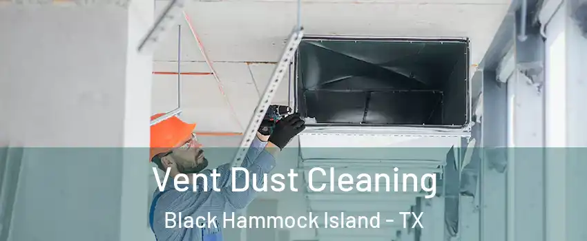 Vent Dust Cleaning Black Hammock Island - TX