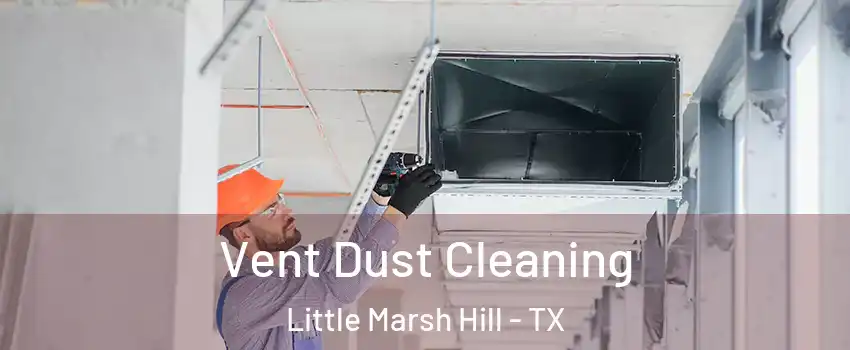 Vent Dust Cleaning Little Marsh Hill - TX