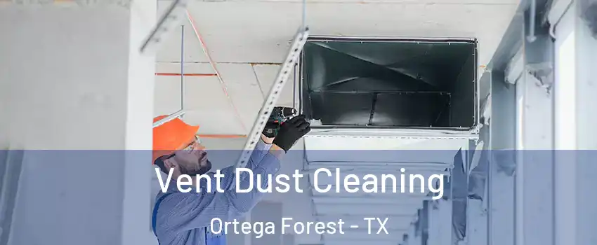 Vent Dust Cleaning Ortega Forest - TX