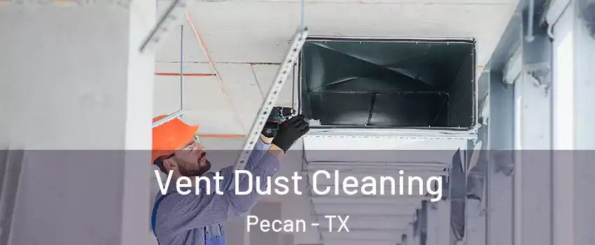 Vent Dust Cleaning Pecan - TX