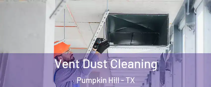 Vent Dust Cleaning Pumpkin Hill - TX