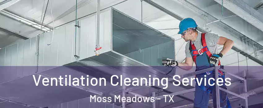 Ventilation Cleaning Services Moss Meadows - TX