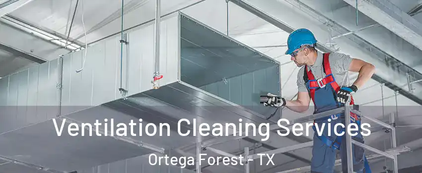 Ventilation Cleaning Services Ortega Forest - TX